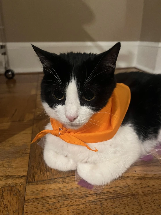 Block Printing 101 & Pet Bandana Printing Class (July 10)